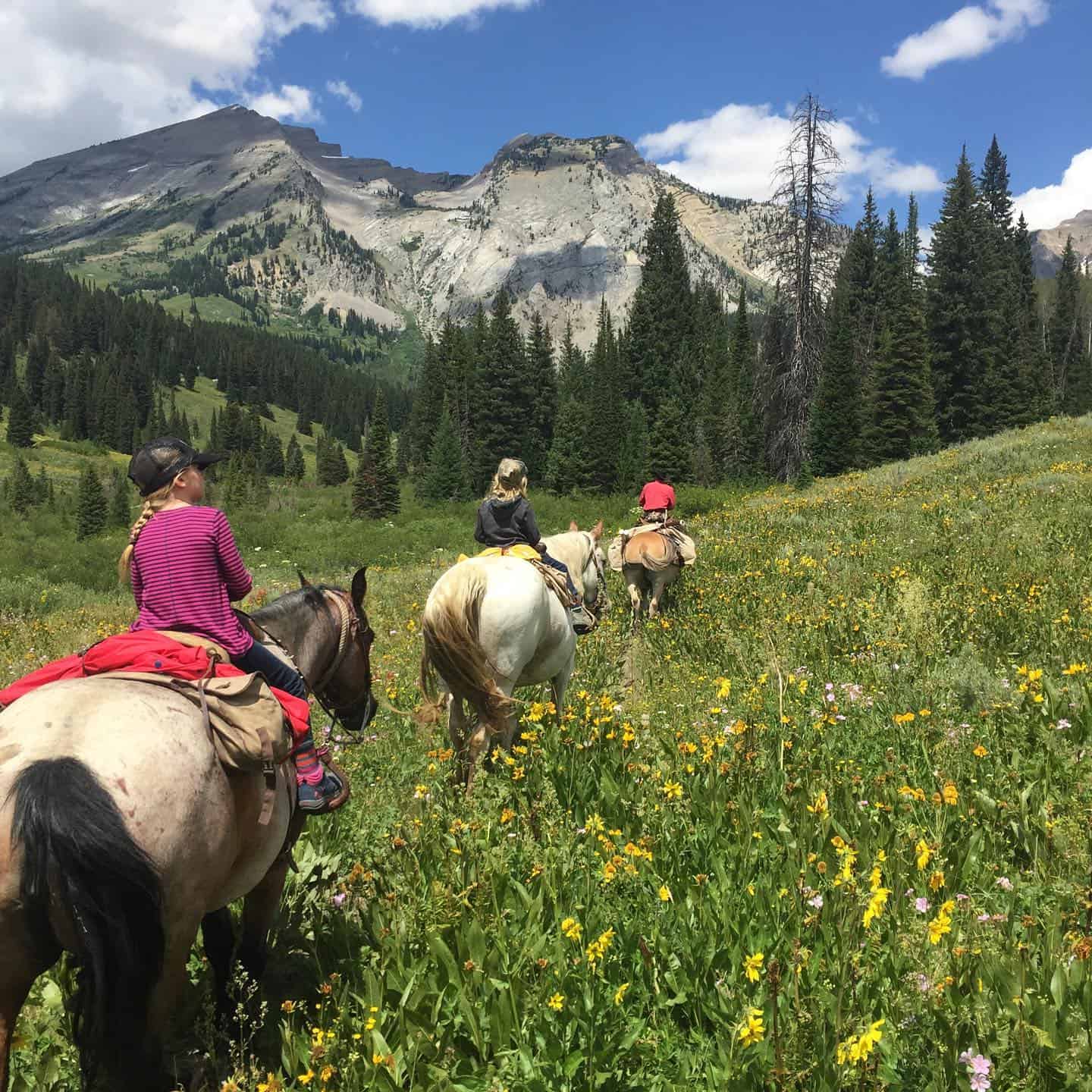 Best Horseback Riding Jackson Hole