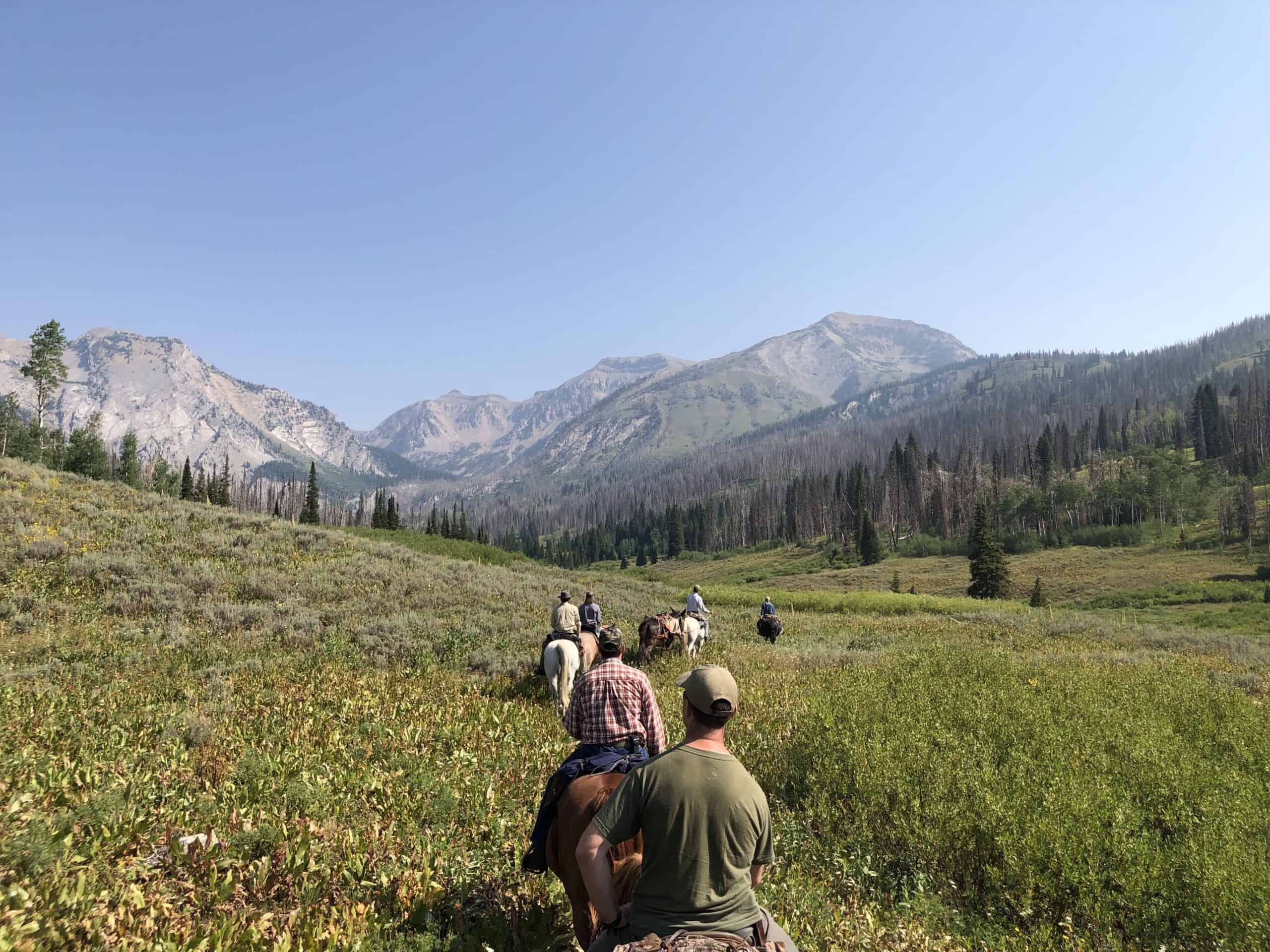 IMG_1982 Wyoming Fly Fishing